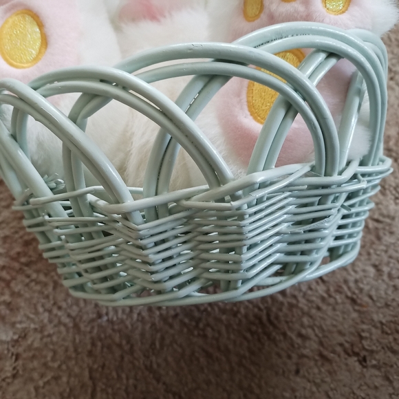 LG Easter Basket & Bunny !! - Picture 5 of 16